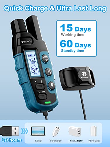 Remote Dog Training Collar Set (2 Dogs)