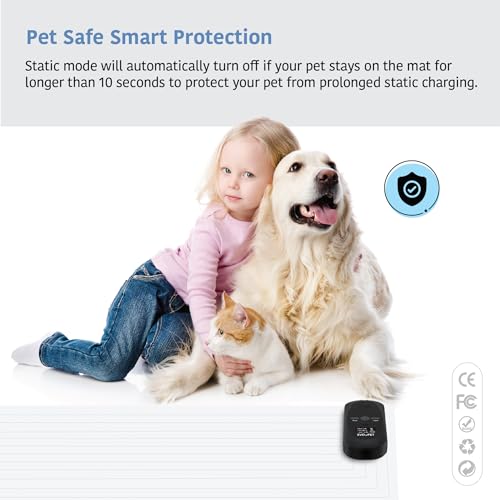 Electronic Pet Training Mat Set