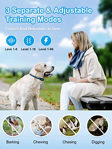 Remote Dog Training Collar Set (2 Dogs)