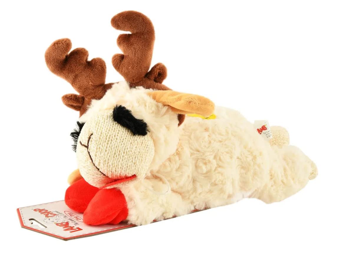 Squeaky Plush Dog Toy