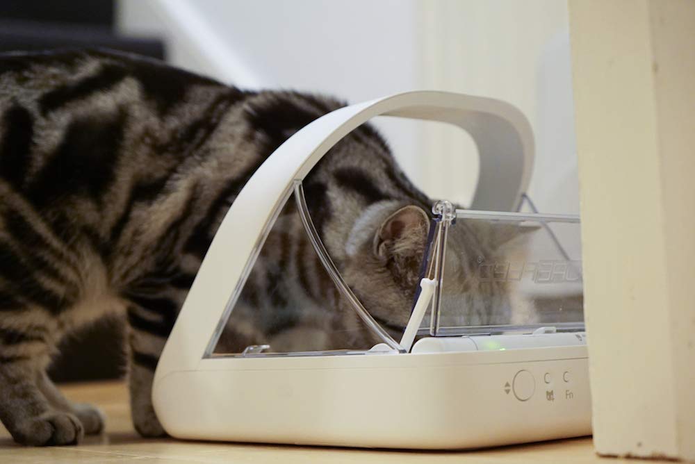 SureFeed Microchip Pet Feeder