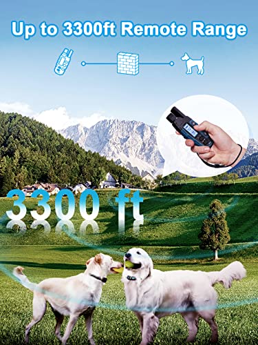 Remote Dog Training Collar Set (2 Dogs)