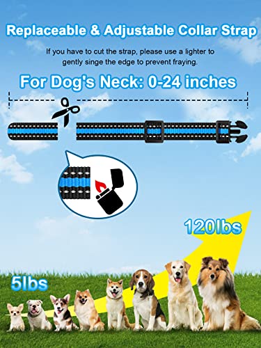 Remote Dog Training Collar Set (2 Dogs)