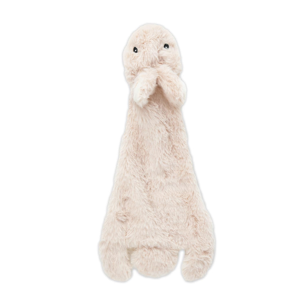 Squeaky Fabric Dog Toy