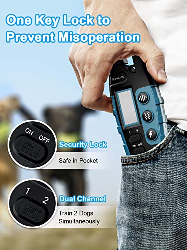 Remote Dog Training Collar Set (2 Dogs)