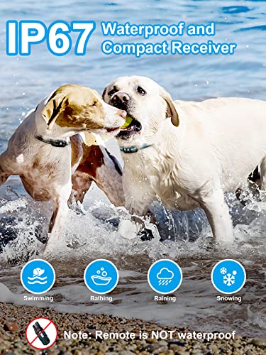 Remote Dog Training Collar Set (2 Dogs)