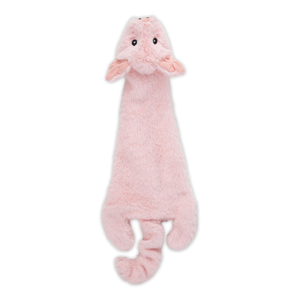 Squeaky Fabric Dog Toy