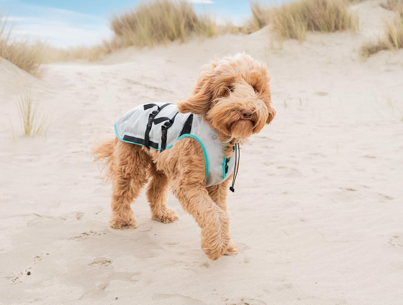 Suitical Dry Cooling Vest Dog