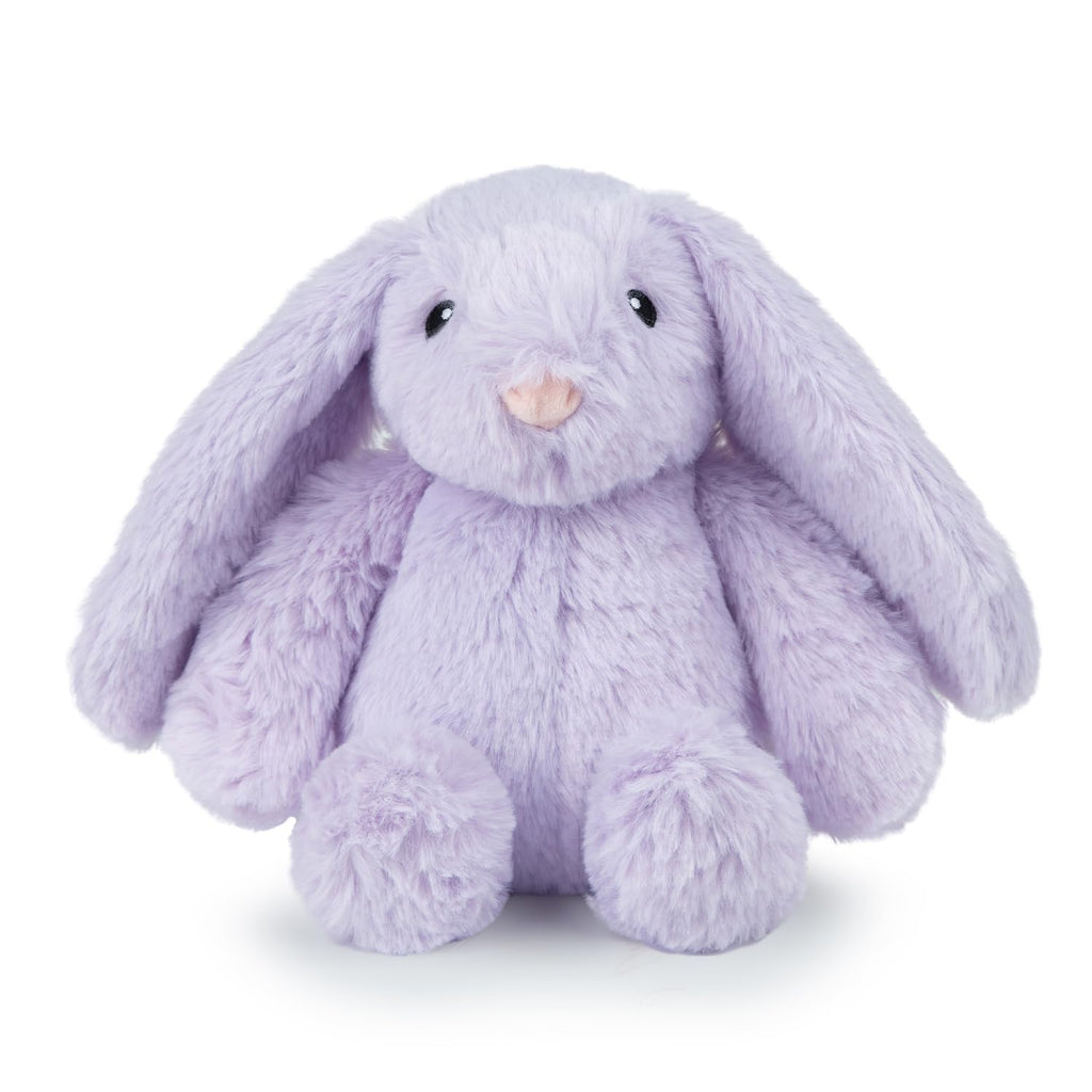 Squeaky Fabric Dog Toy