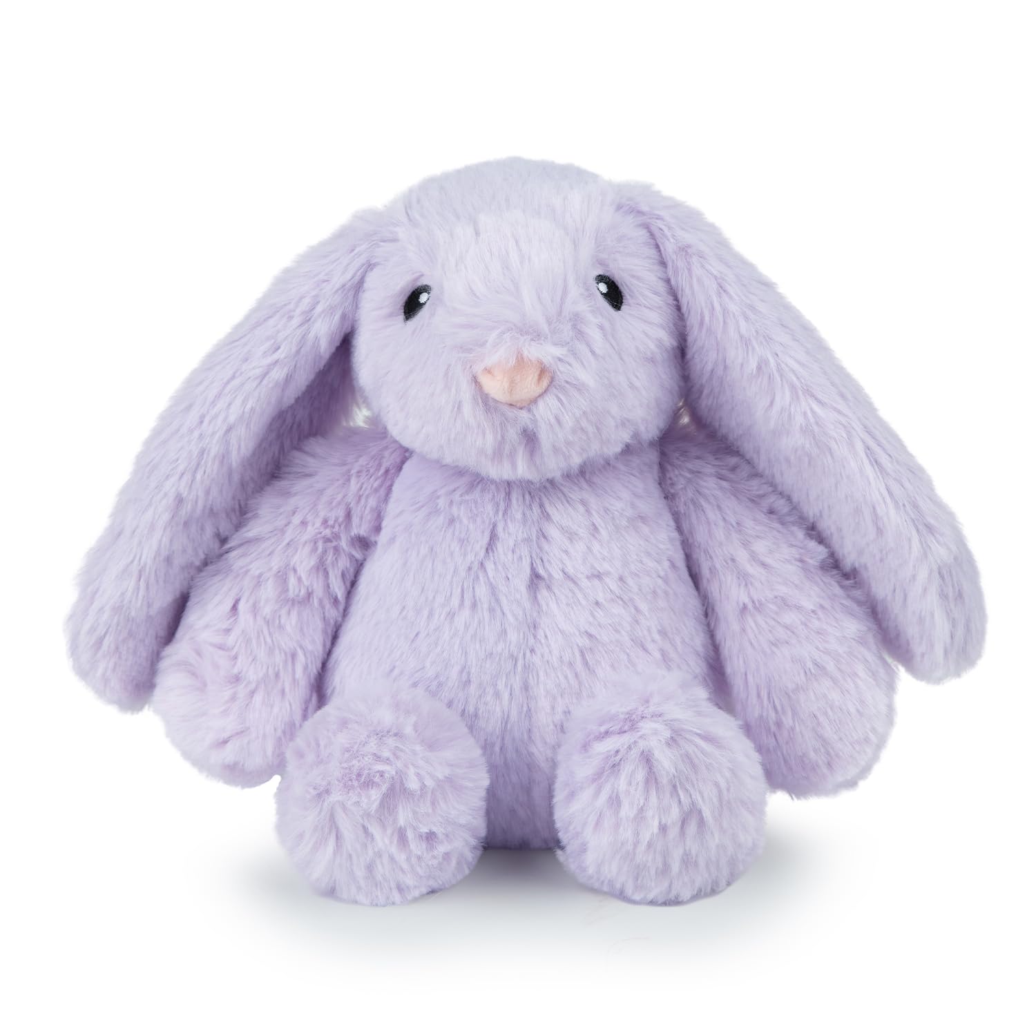 Squeaky Fabric Dog Toy