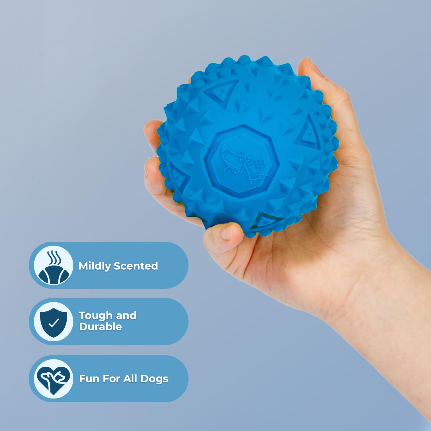 Squeaky Fabric Dog Toy