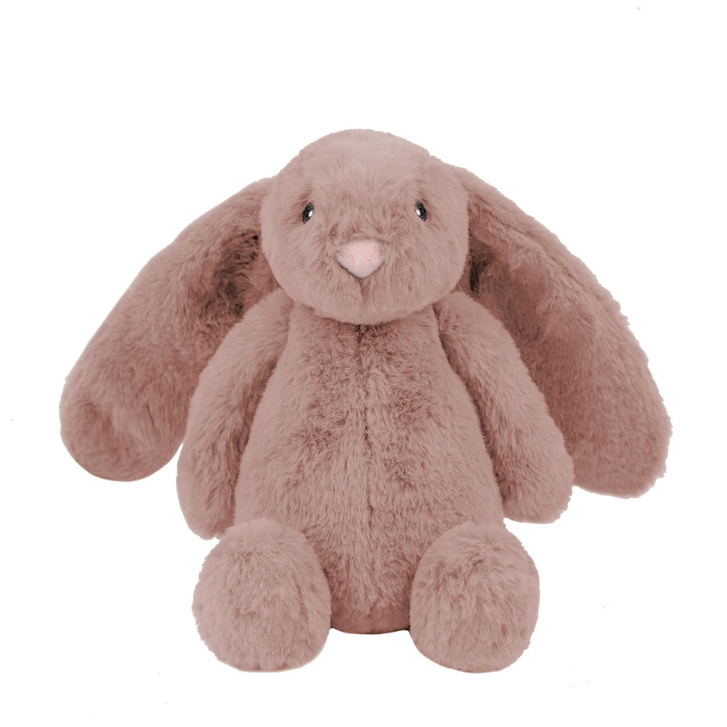 Squeaky Fabric Dog Toy