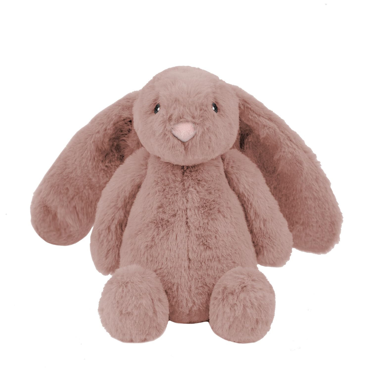Squeaky Fabric Dog Toy