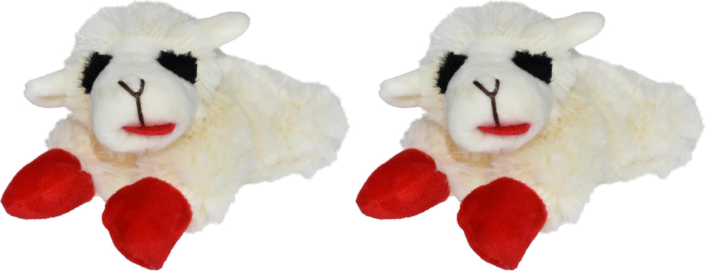 Squeaky Plush Dog Toy