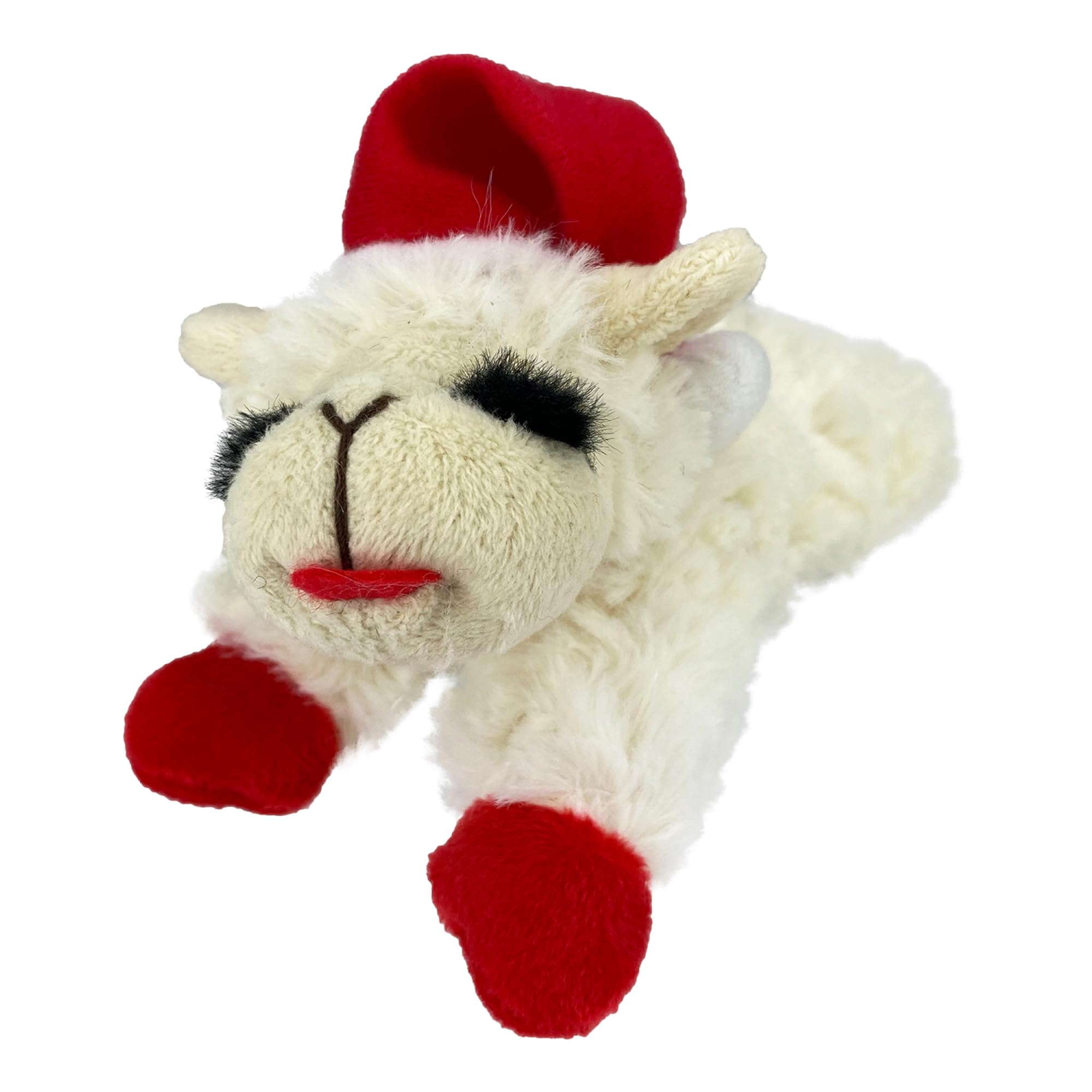 Squeaky Plush Dog Toy