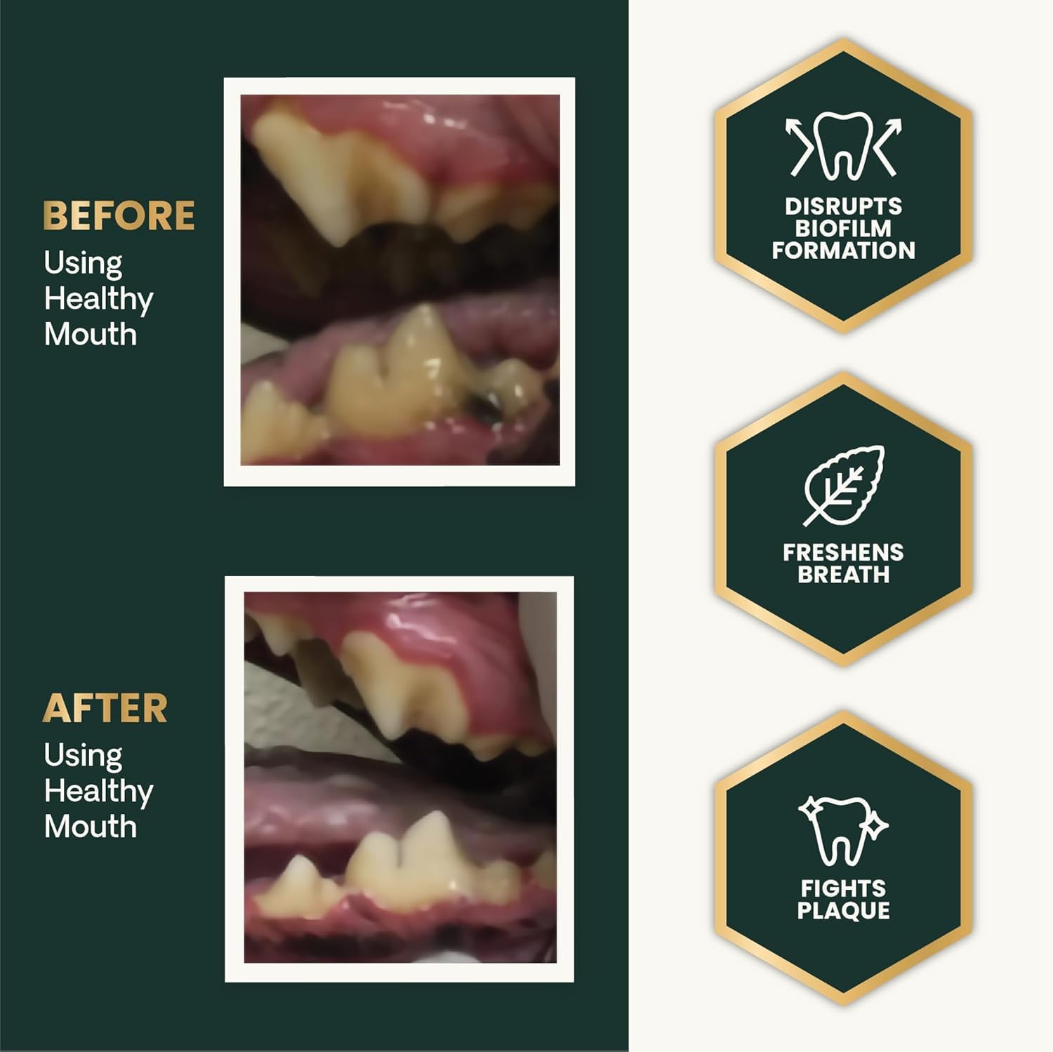 VetriScience Dental Care Powder
