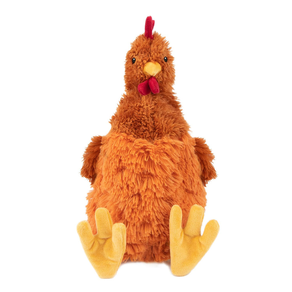 Interactive Squeaky Dog Toy
