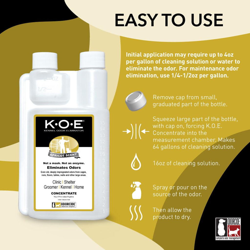 KOE Parent 5
