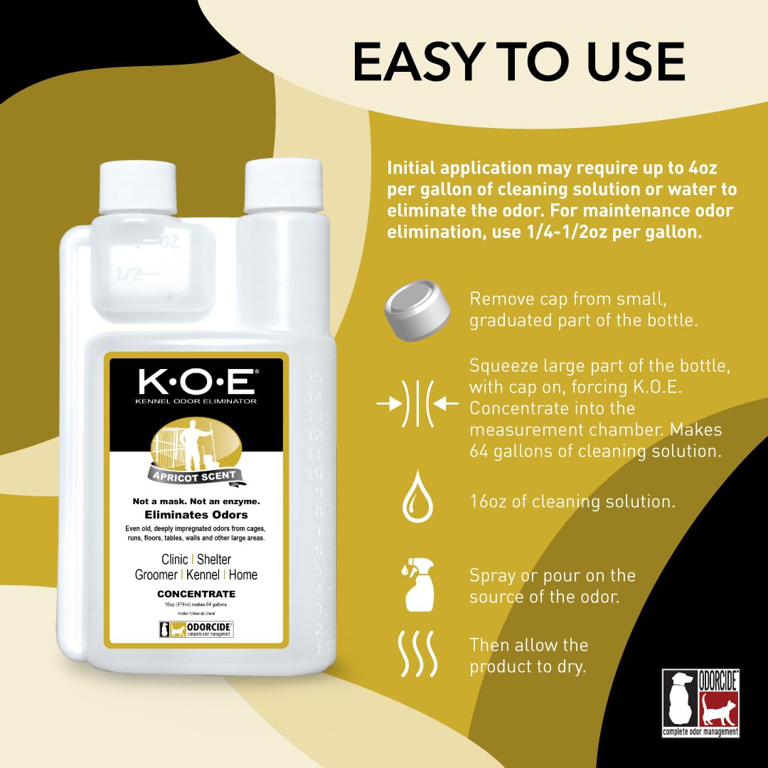 KOE Parent 5