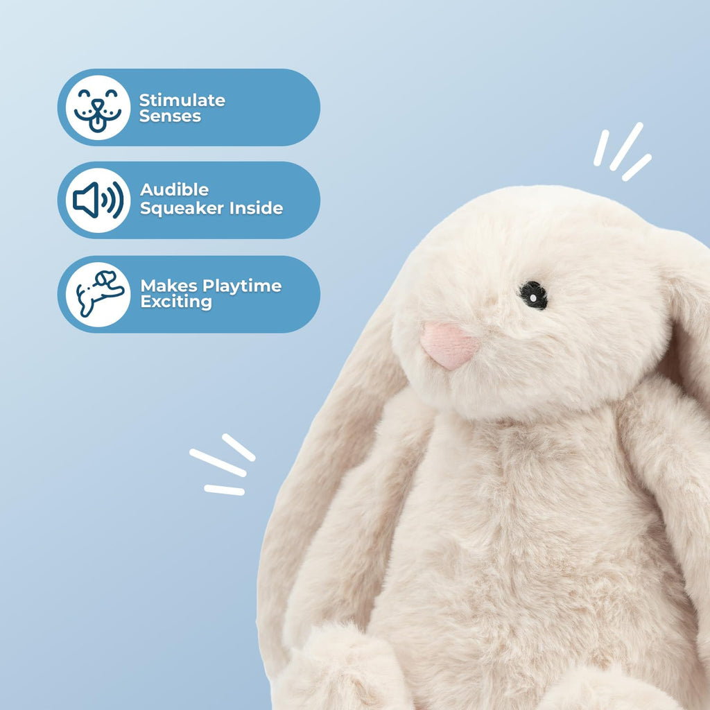 Interactive Squeaky Dog Toy