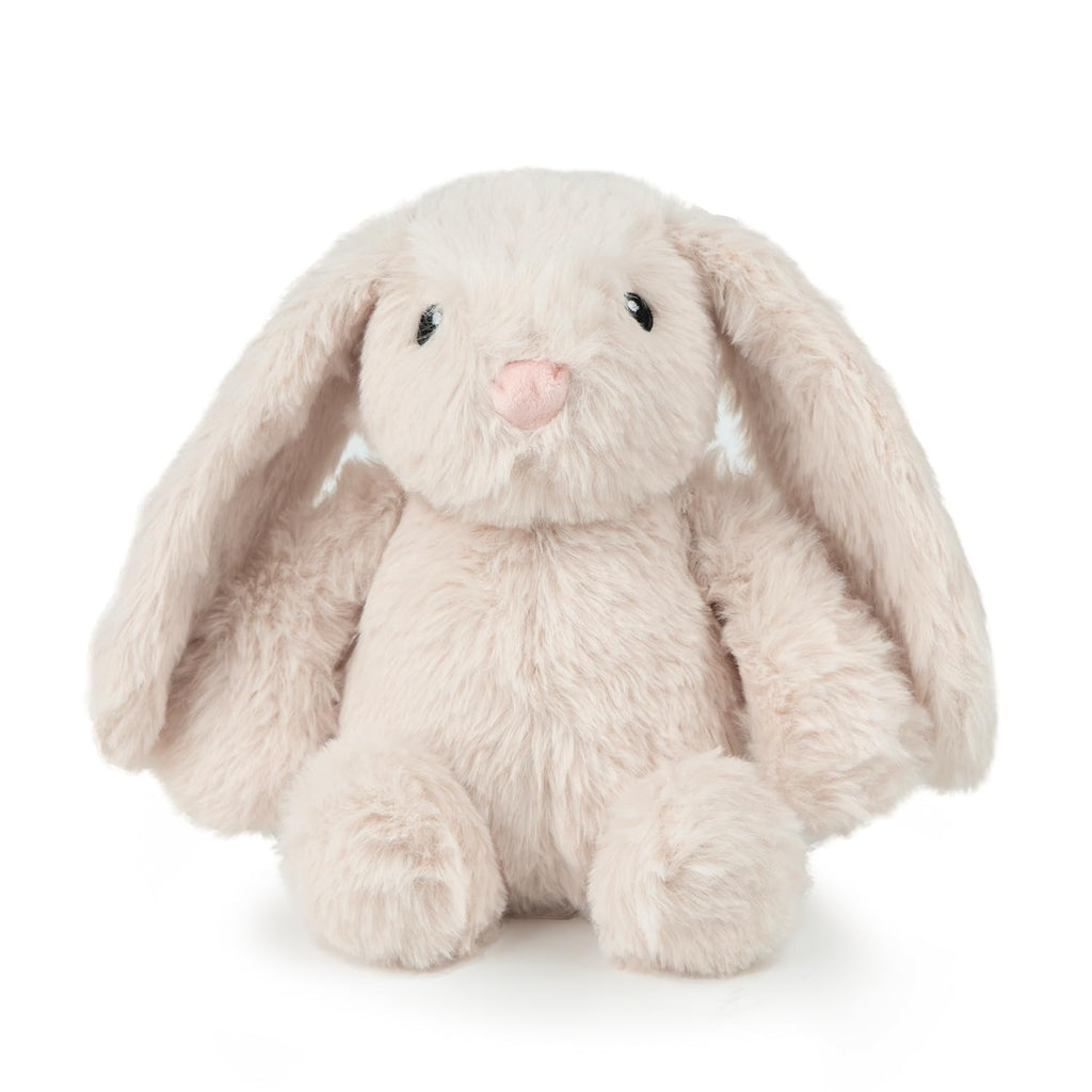 Interactive Squeaky Dog Toy
