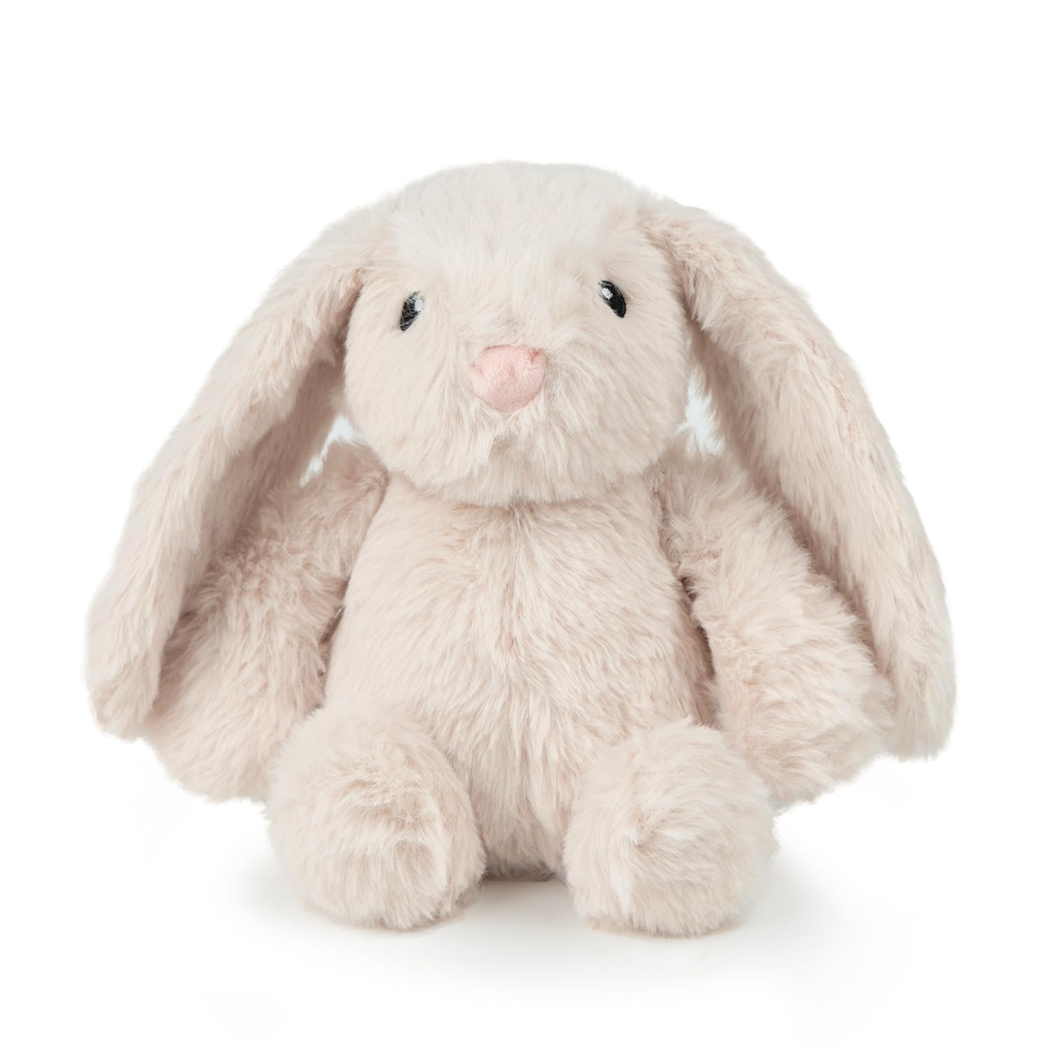 Squeaky Fabric Dog Toy