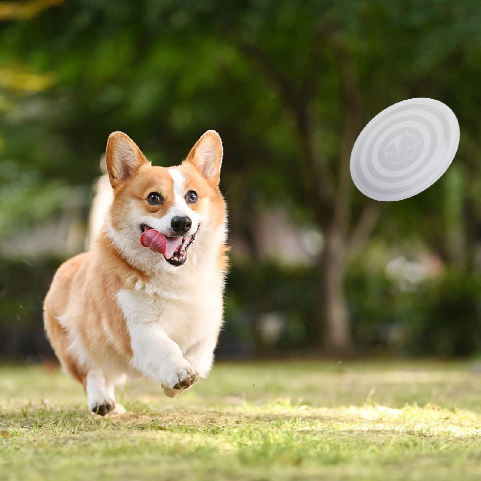 Collapsible Travel Pet Bowls Set