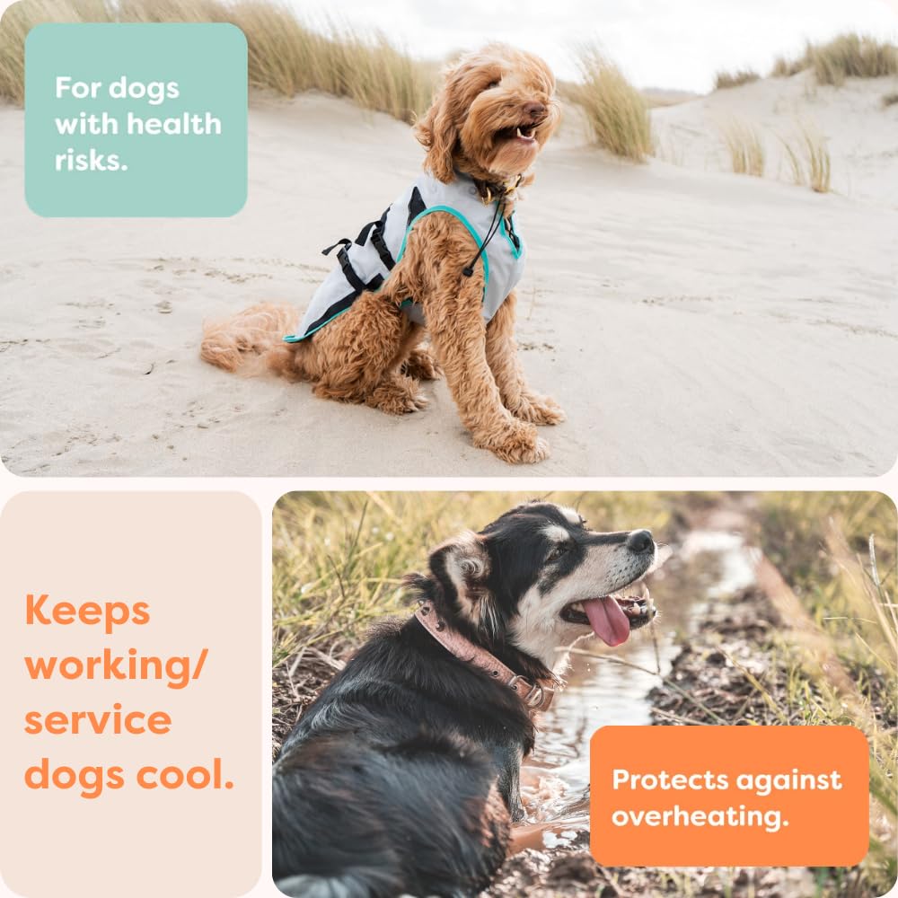 Suitical Dry Cooling Vest Dog