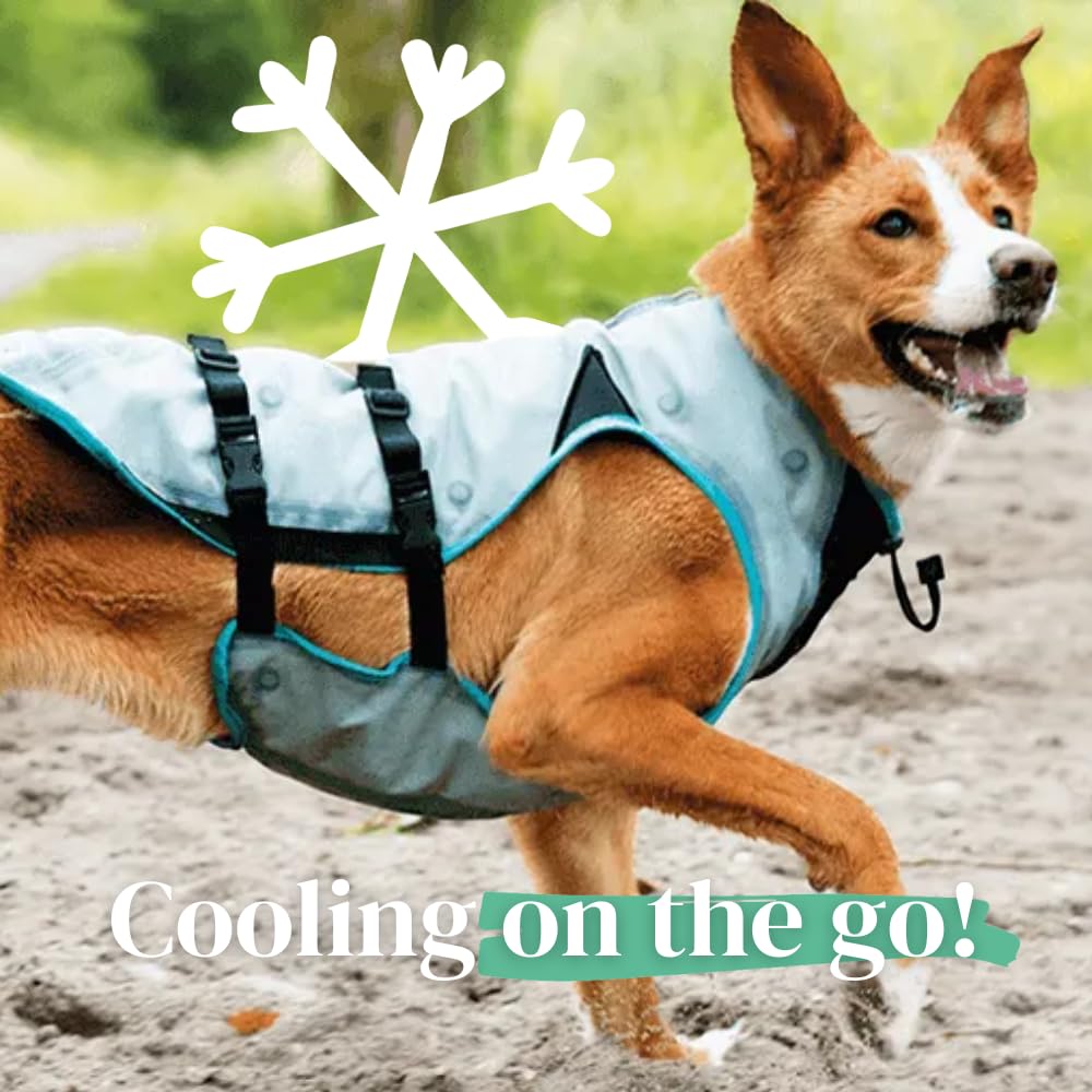 Suitical Dry Cooling Vest Dog