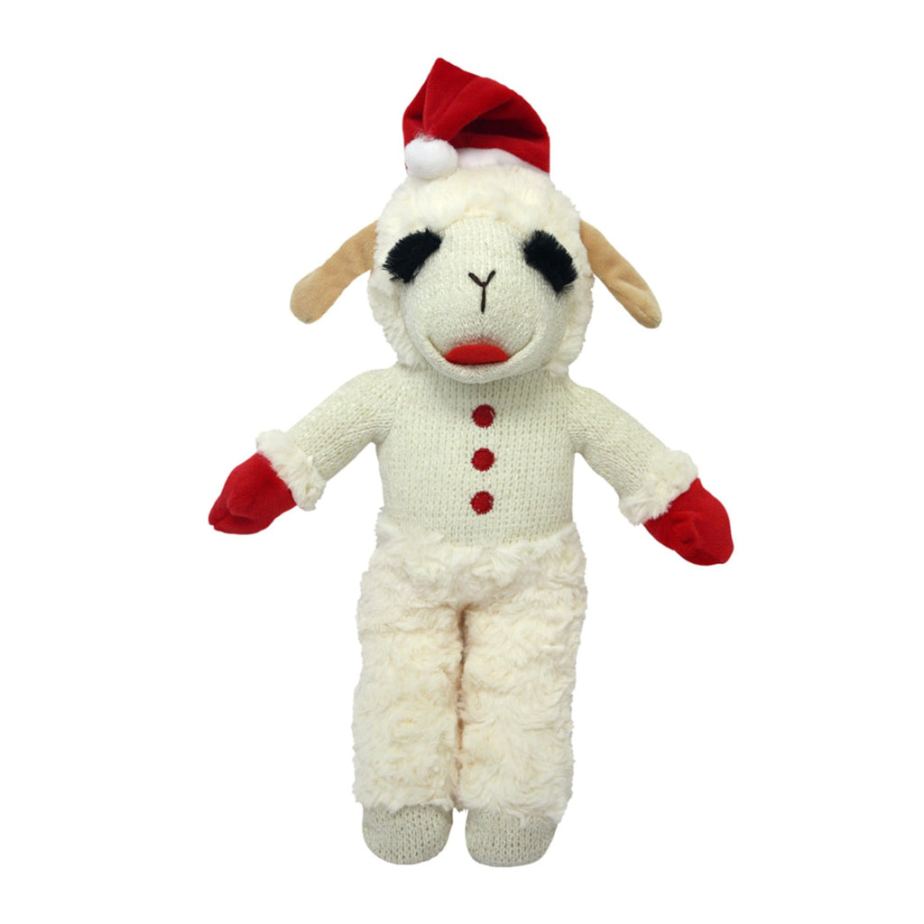 Squeaky Plush Dog Toy