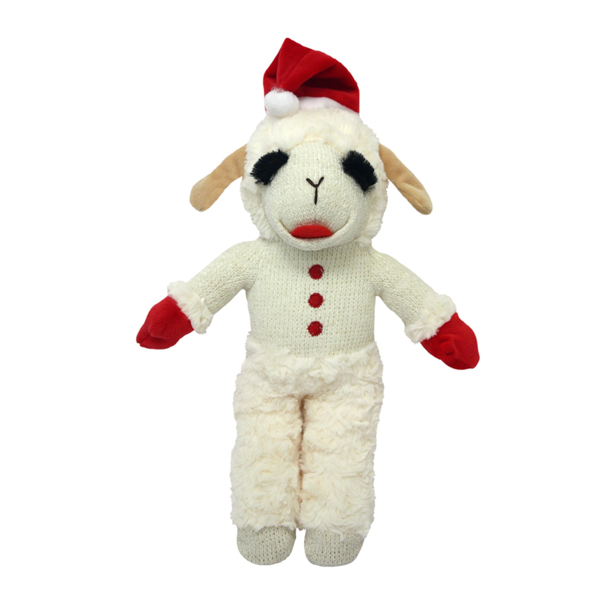 Squeaky Plush Dog Toy