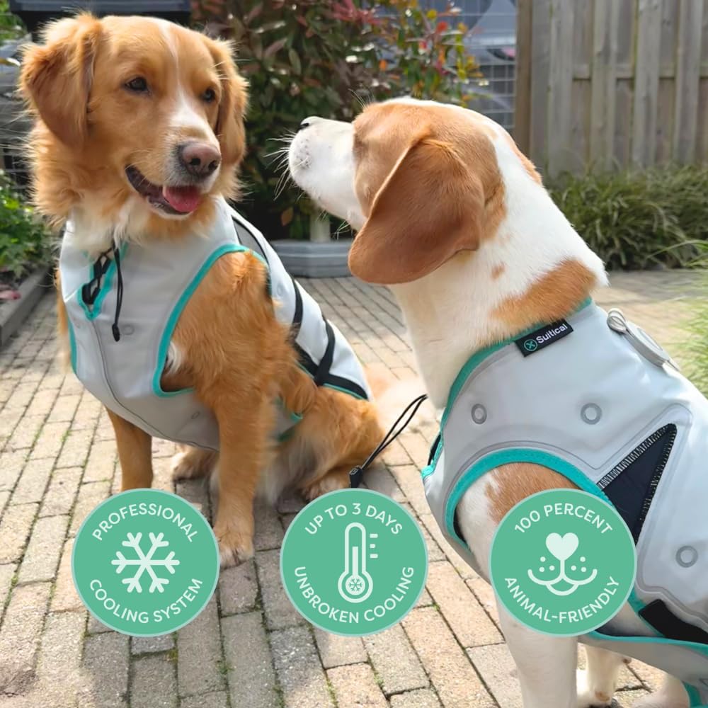 Suitical Dry Cooling Vest Dog