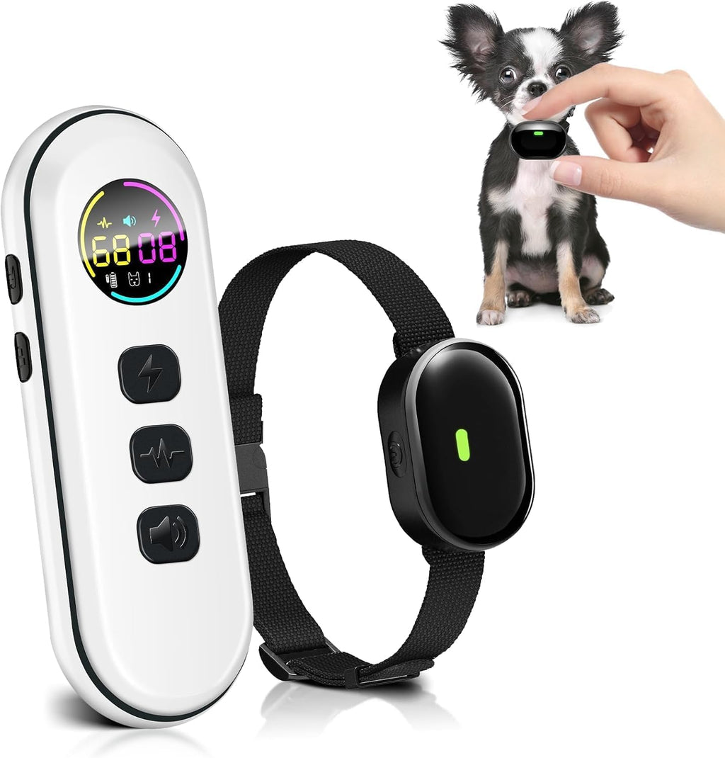 Remote Training Collar for Small Dogs