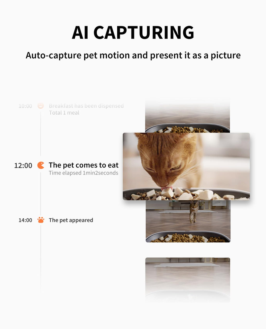 Smart Pet Feeder with Camera