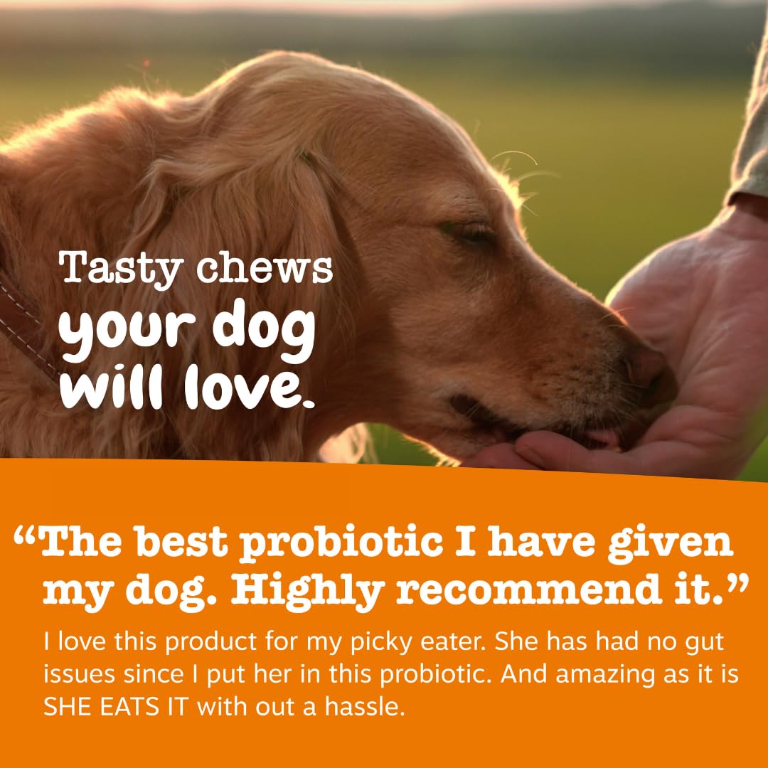 Probiotic & Digestive Enzyme Dog Chews