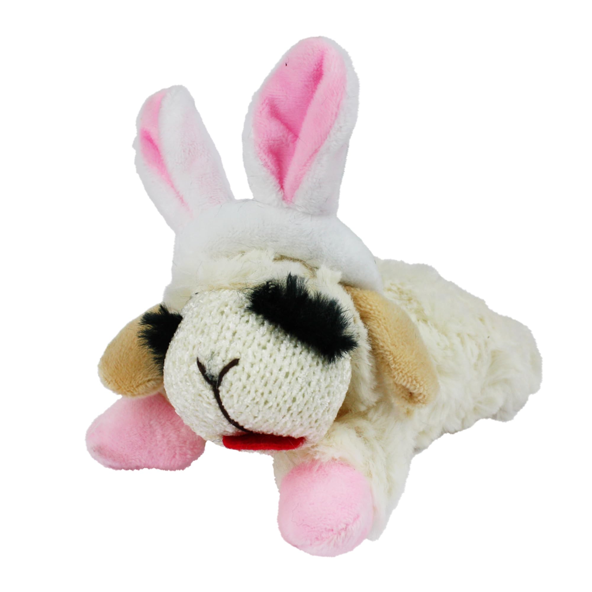 Squeaky Plush Dog Toy
