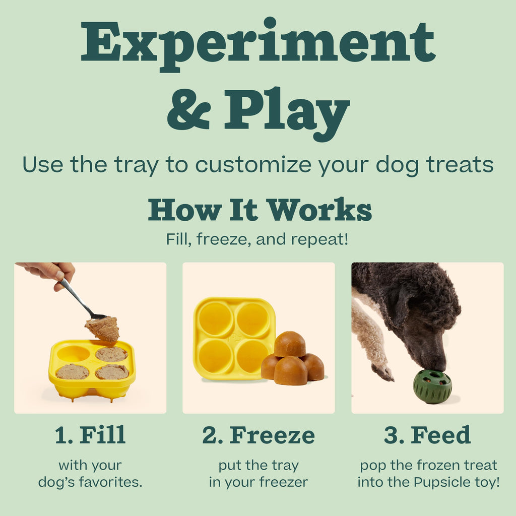 Interactive Treat Ball Toy