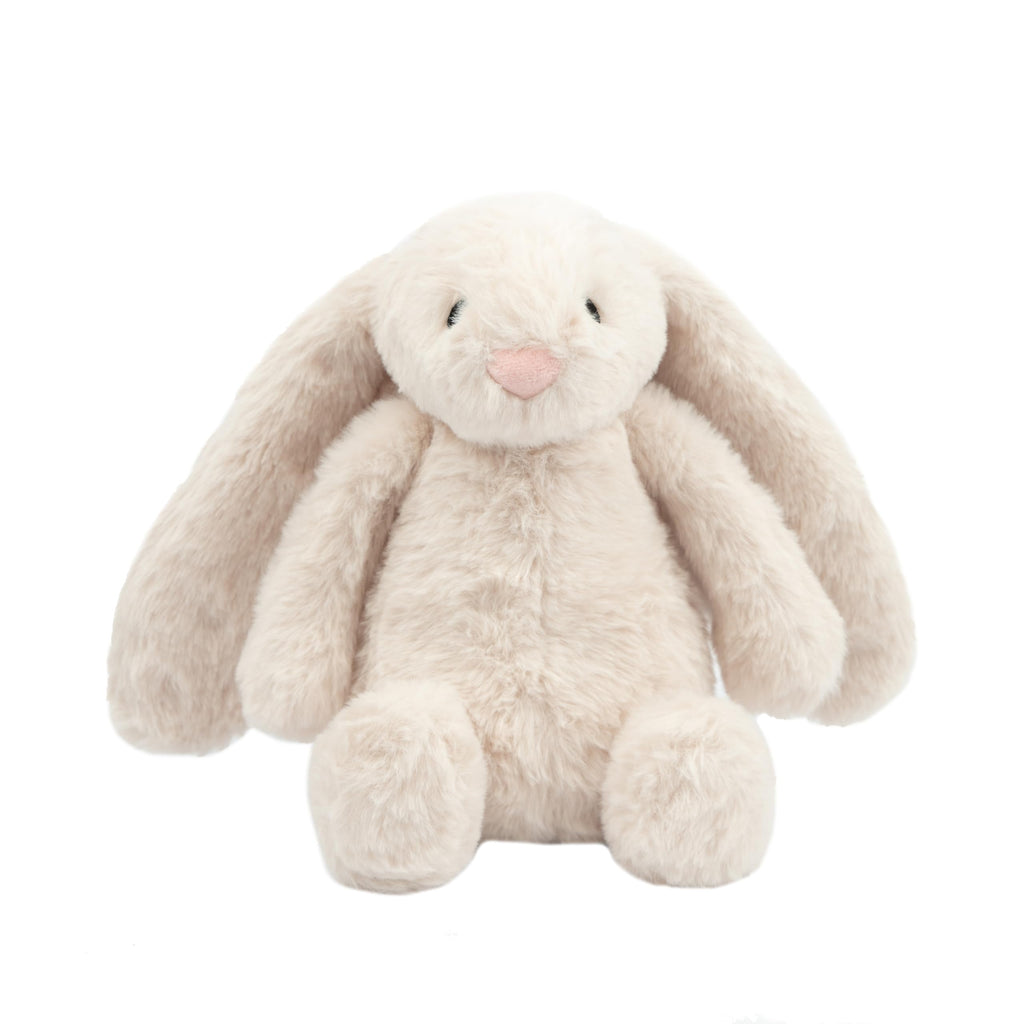 Interactive Squeaky Dog Toy