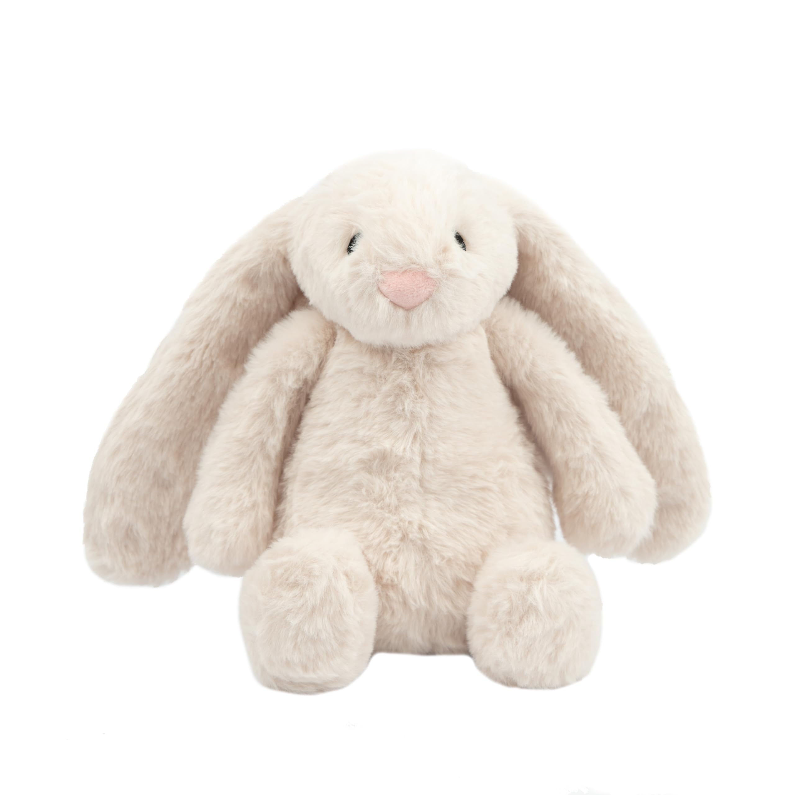 Interactive Squeaky Dog Toy