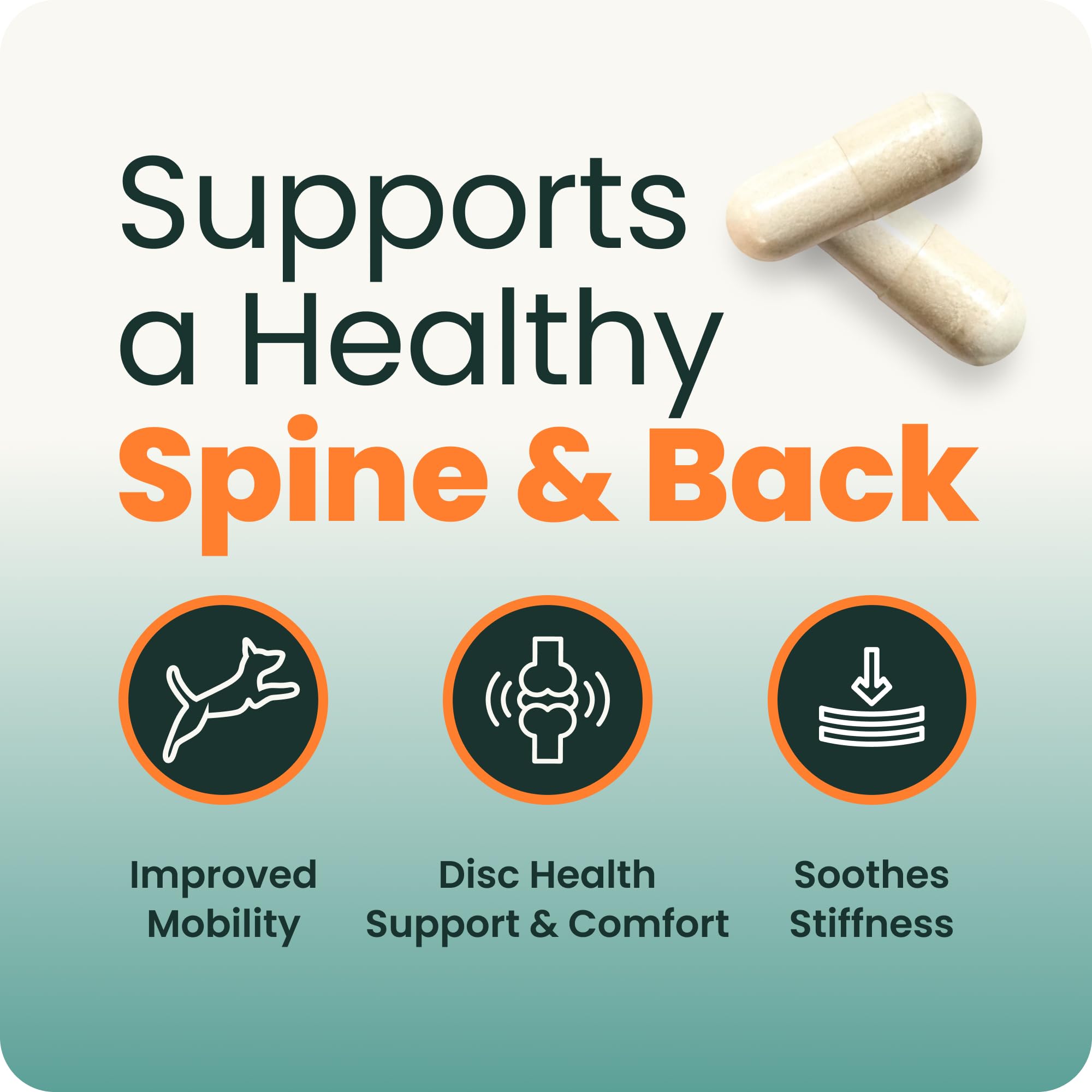 Spine & Disc Support Capsules for Dogs