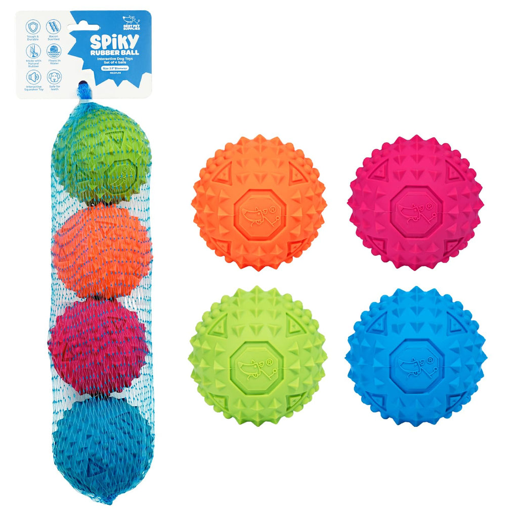 Interactive Squeaky Dog Toy