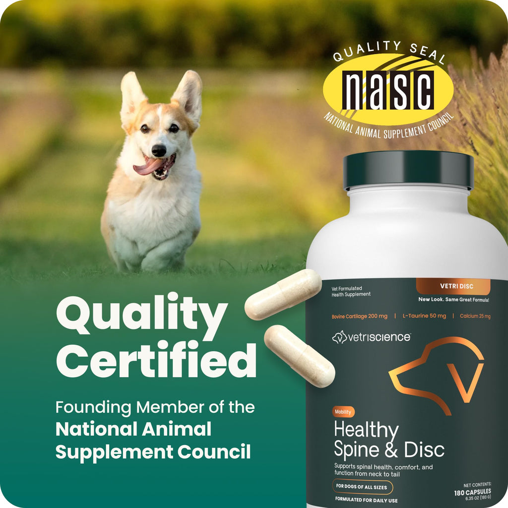 Spine & Disc Support Capsules for Dogs