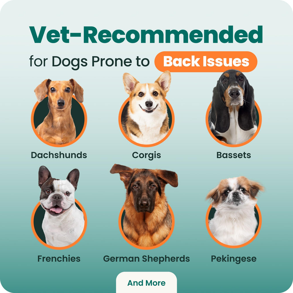 Spine & Disc Support Capsules for Dogs