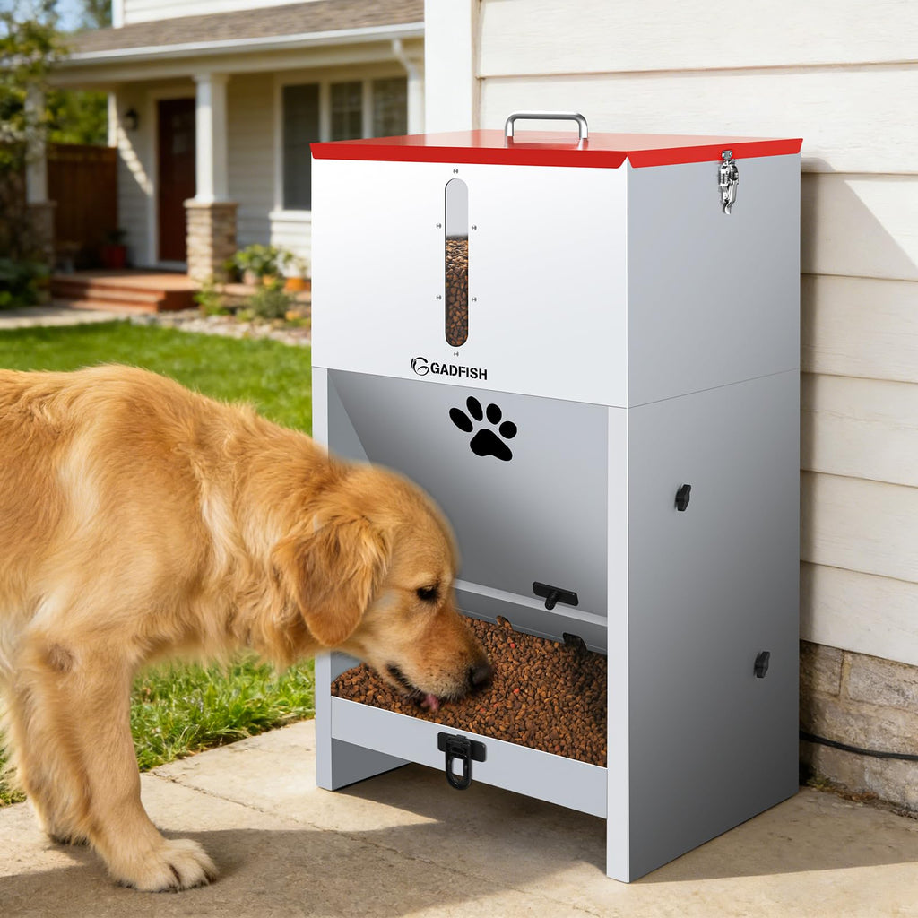 Large Automatic Dog Feeder