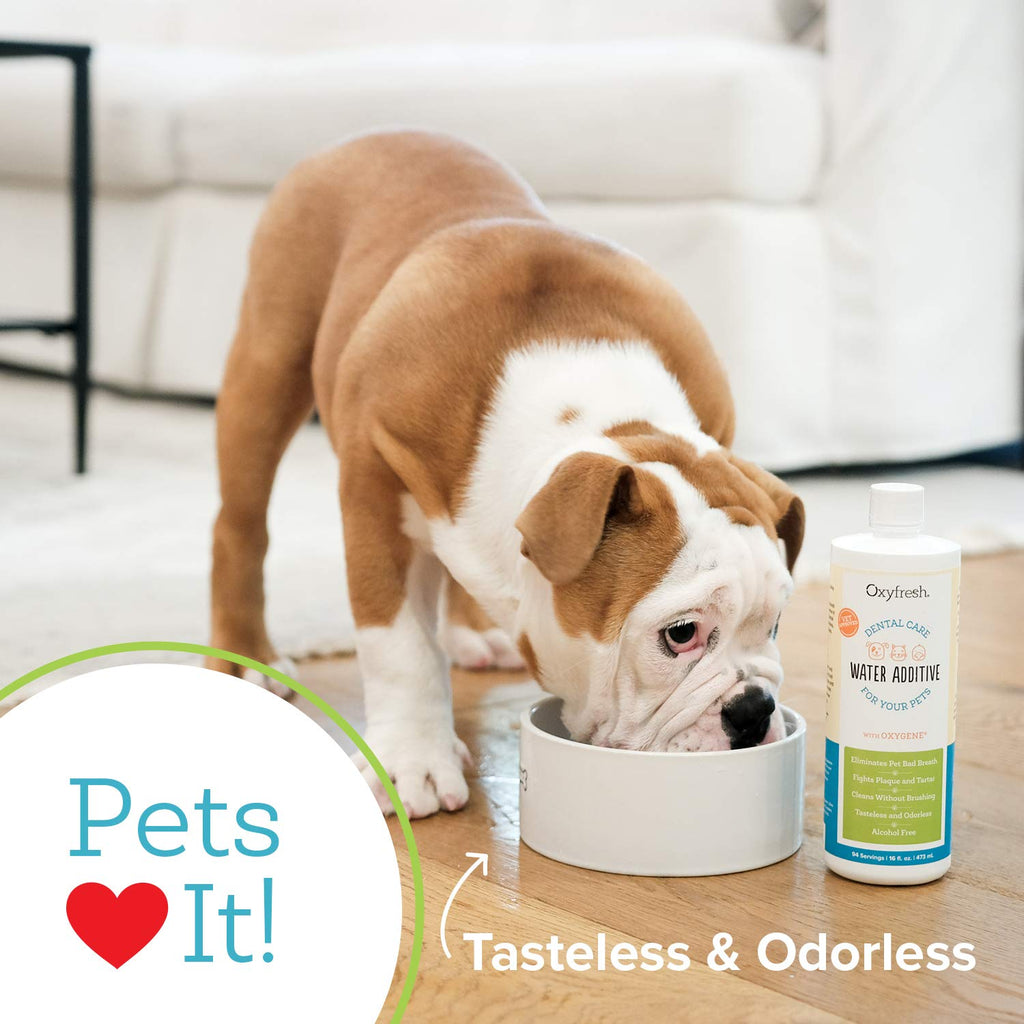 Pet Dental Water Additive
