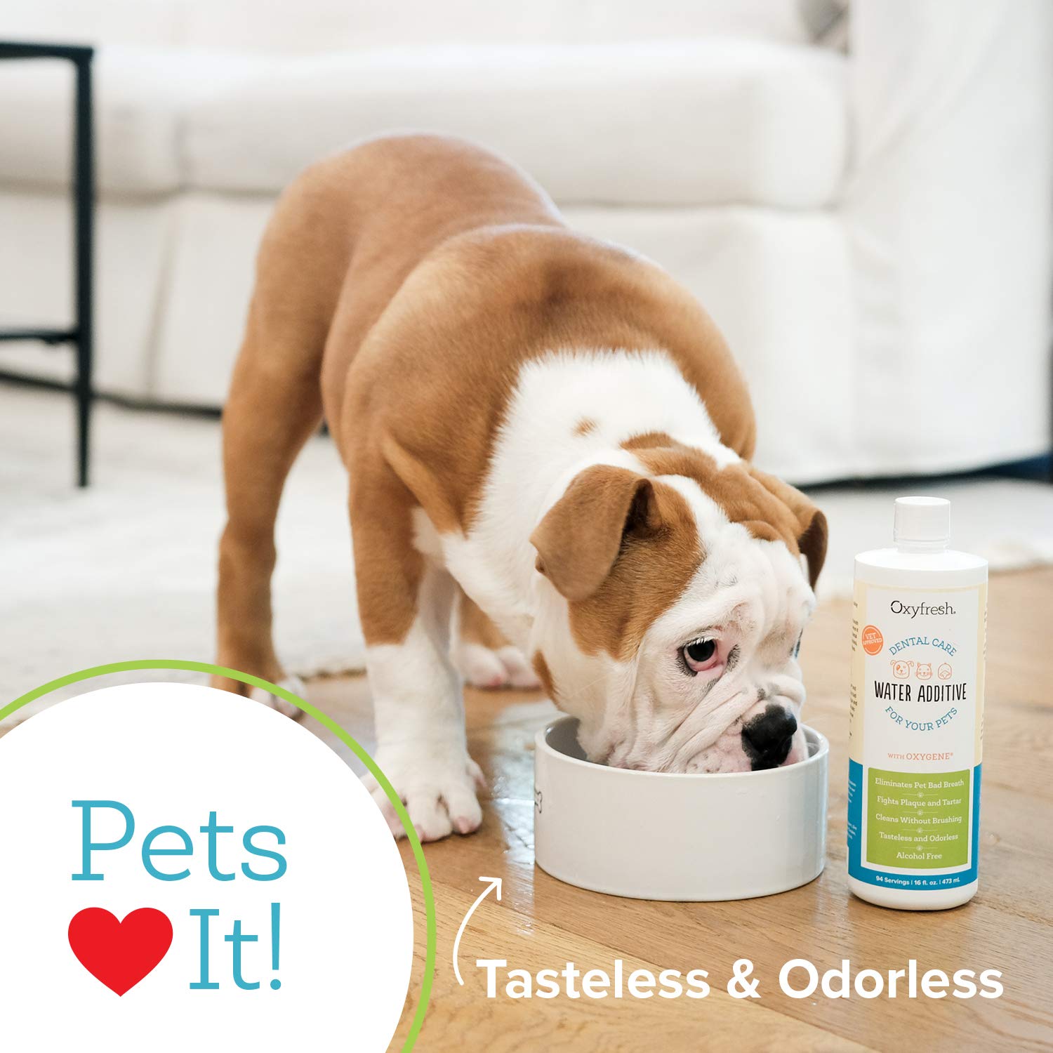Pet Dental Water Additive