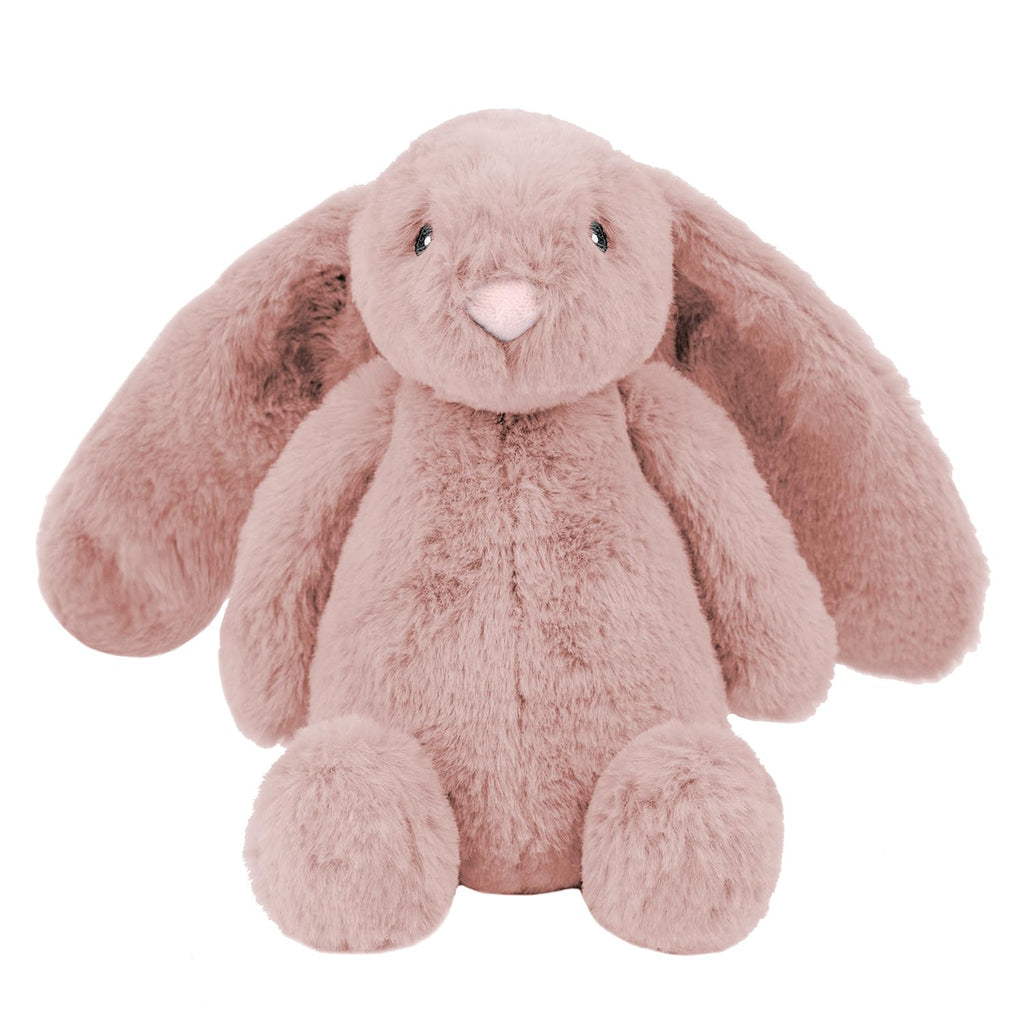 Interactive Squeaky Dog Toy
