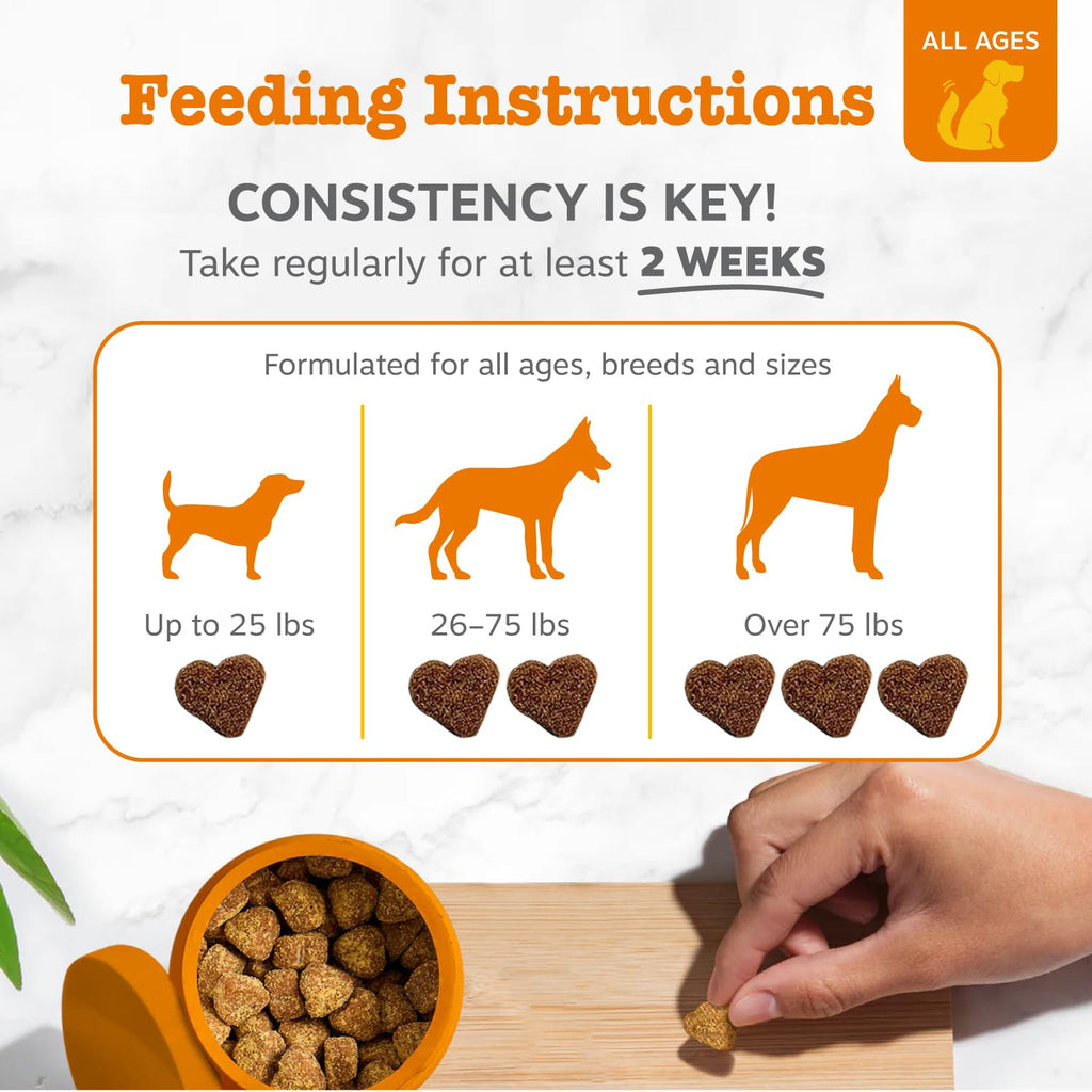 Probiotic & Digestive Enzyme Dog Chews