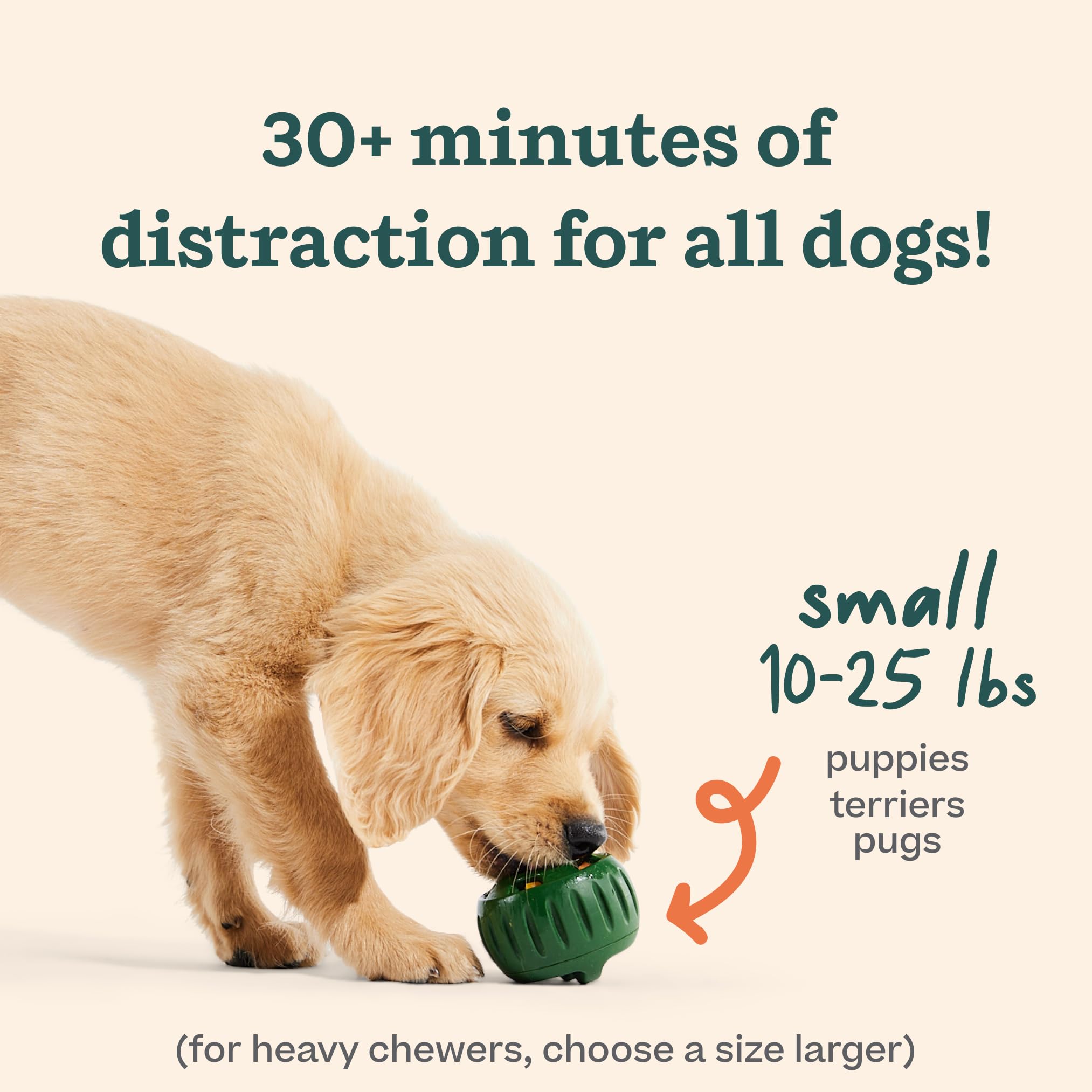 Interactive Treat Ball Toy