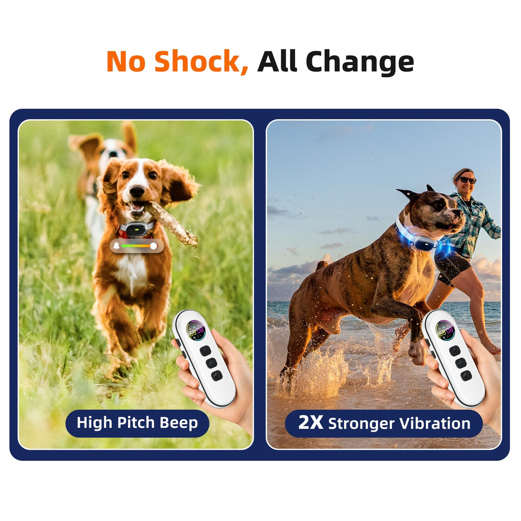 Remote Training Collar for Small Dogs